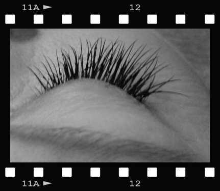 5-31-11_After_Lashes_behind_side_view_c.jpg